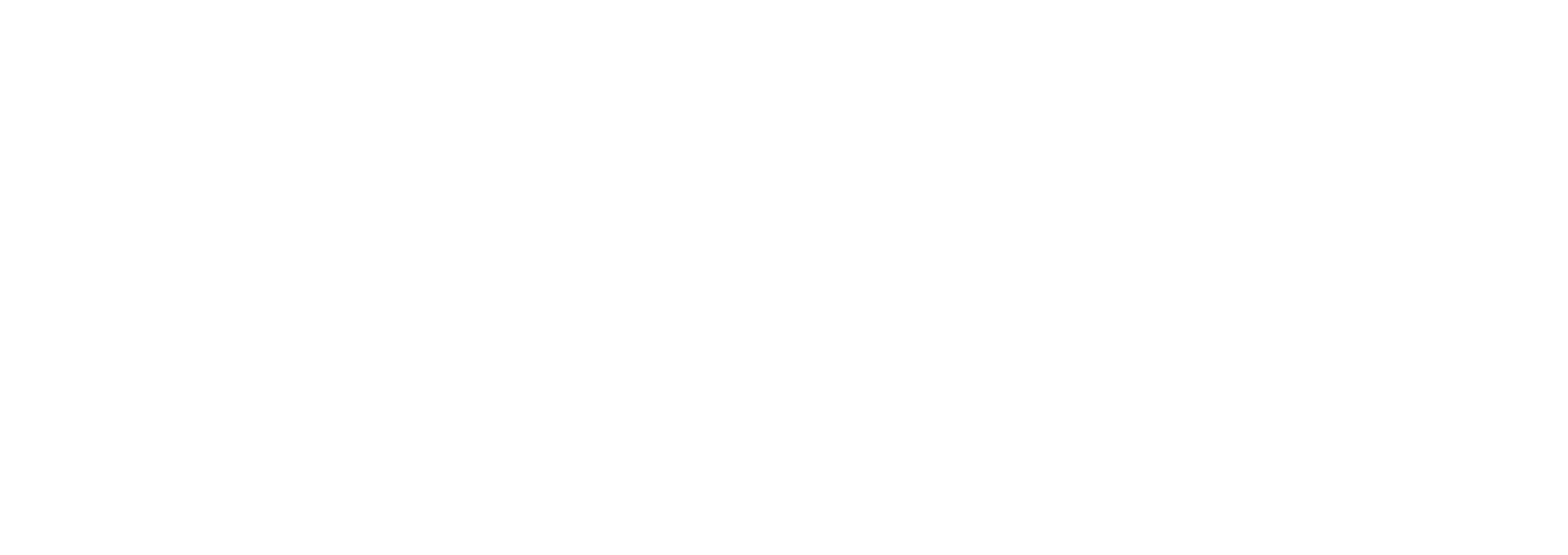 Intellidio